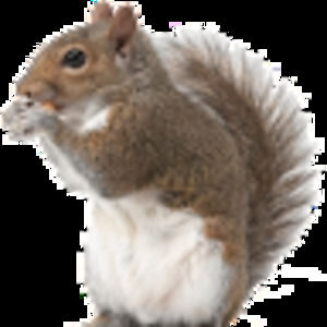 Meet your Posher, Mini
